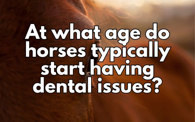 At what age do horses typically start having dental issues?