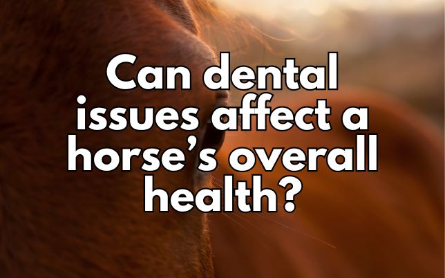 Can dental issues affect a horse’s overall health?