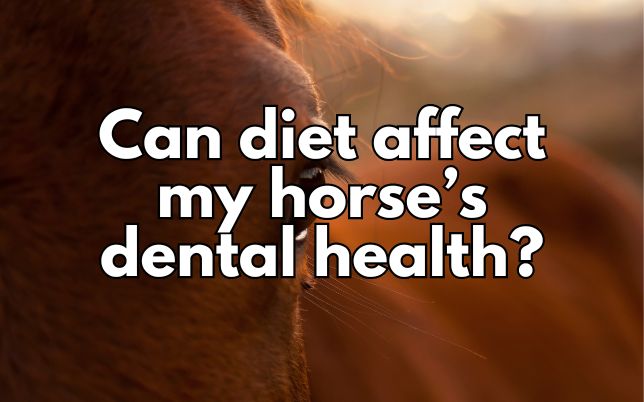 Can diet affect my horse’s dental health?