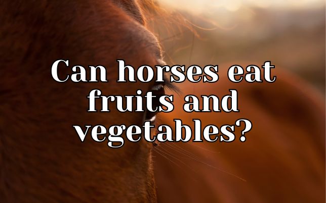 Can horses eat fruits and vegetables