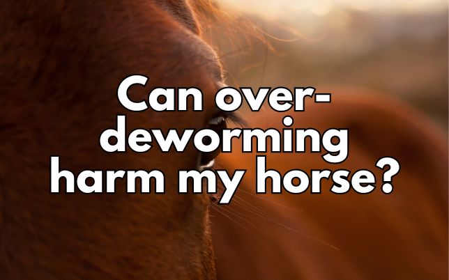 Can over-deworming harm my horse?