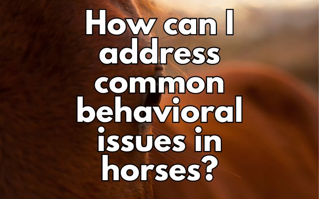 How can I address common behavioral issues in horses?