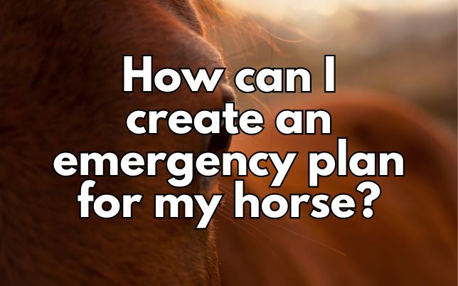 How can I create an emergency plan for my horse?