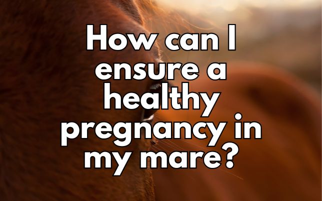 How can I ensure a healthy pregnancy in my mare?