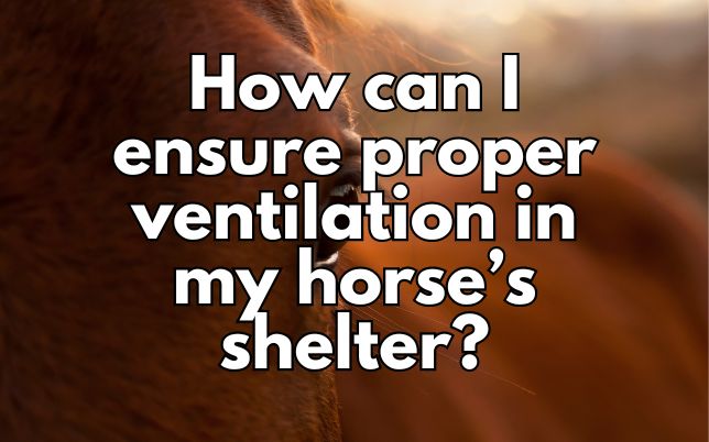 How can I ensure proper ventilation in my horse’s shelter?