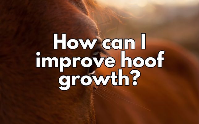 How can I improve hoof growth?