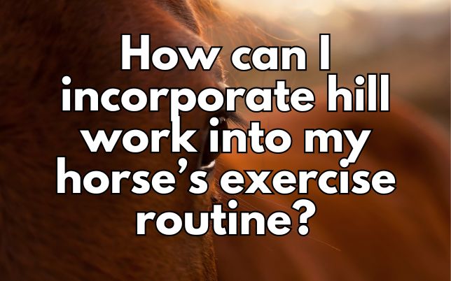 How can I incorporate hill work into my horse’s exercise routine?