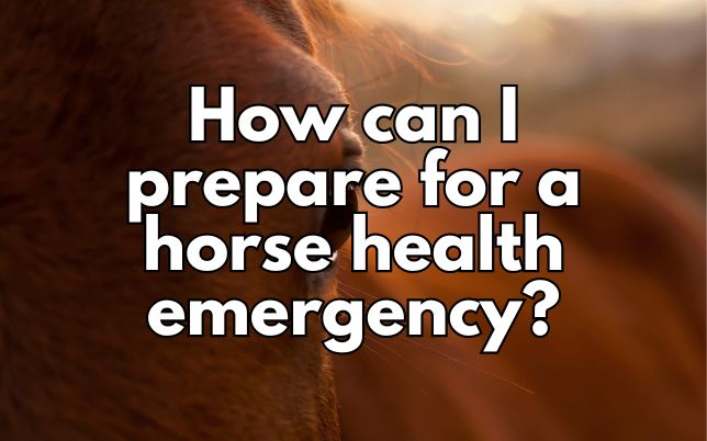 How can I prepare for a horse health emergency?