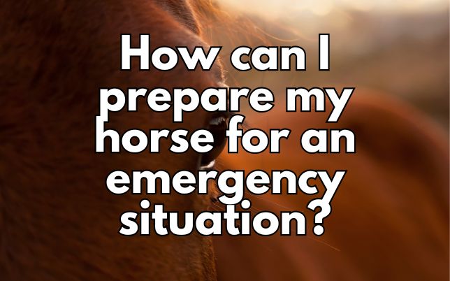 How can I prepare my horse for an emergency situation?