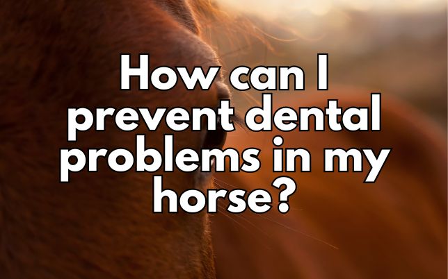 How can I prevent dental problems in my horse?