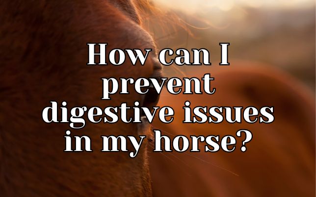 How can I prevent digestive issues in my horse