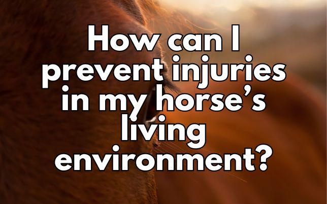 How can I prevent injuries in my horse’s living environment?