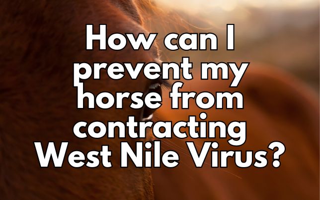 How can I prevent my horse from contracting West Nile Virus?