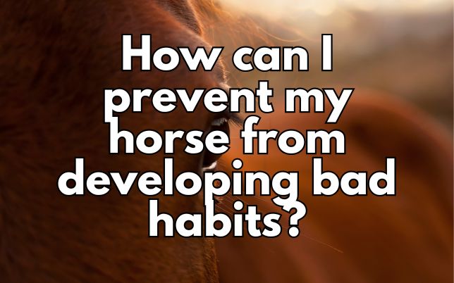 How can I prevent my horse from developing bad habits?