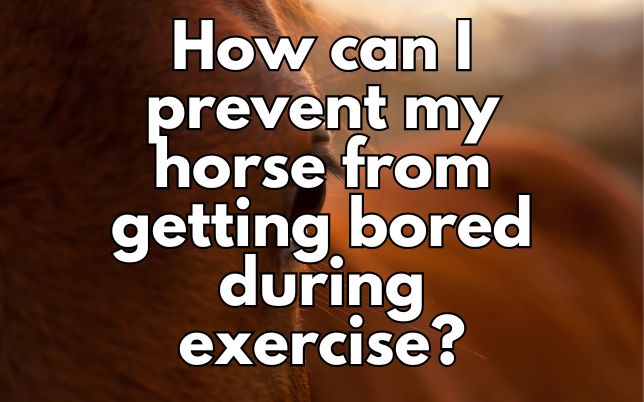 How can I prevent my horse from getting bored during exercise?