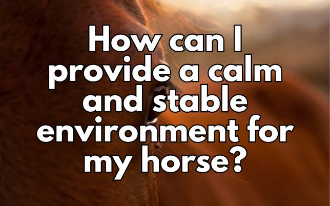 How can I provide a calm and stable environment for my horse?