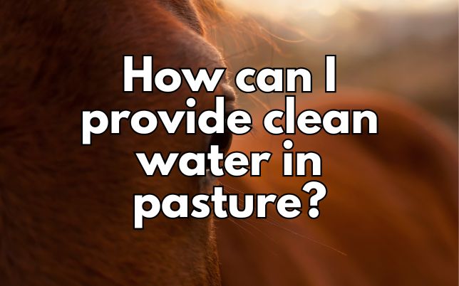 How can I provide clean water in pasture?