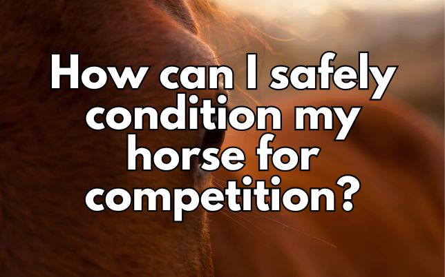 How can I safely condition my horse for competition?