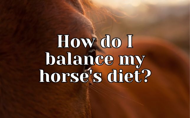 How do I balance my horse's diet