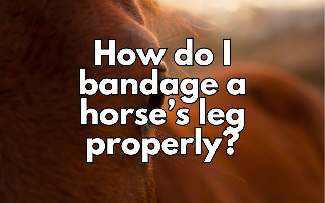 How do I bandage a horse’s leg properly?