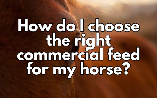 How do I choose the right commercial feed for my horse