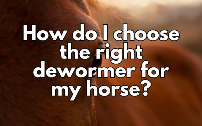 How do I choose the right dewormer for my horse?