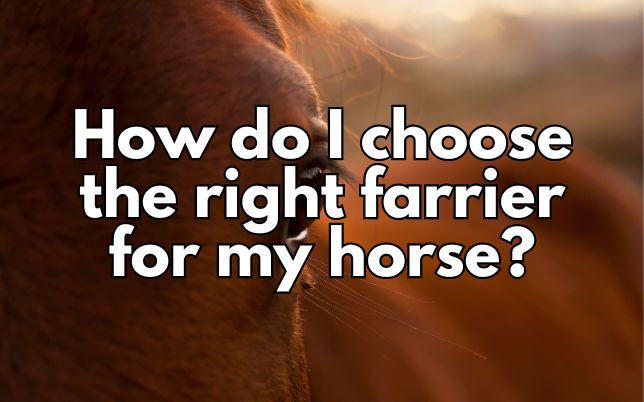 How do I choose the right farrier for my horse?