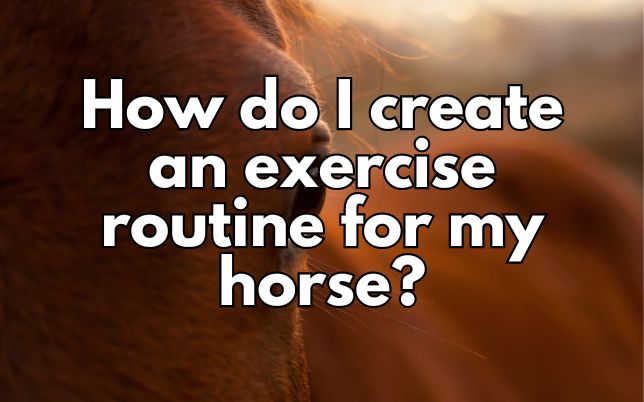 How do I create an exercise routine for my horse?