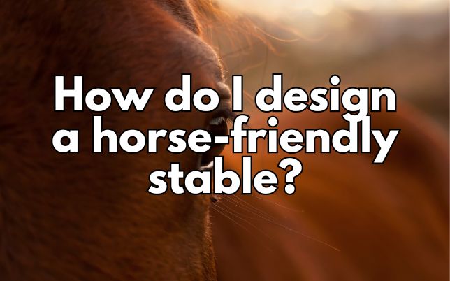 How do I design a horse-friendly stable?