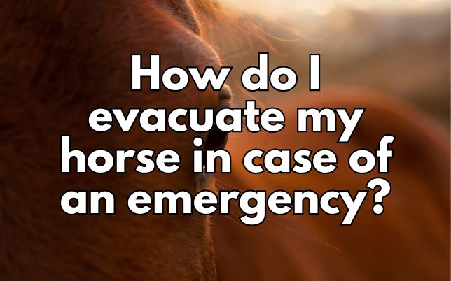 How do I evacuate my horse in case of an emergency?