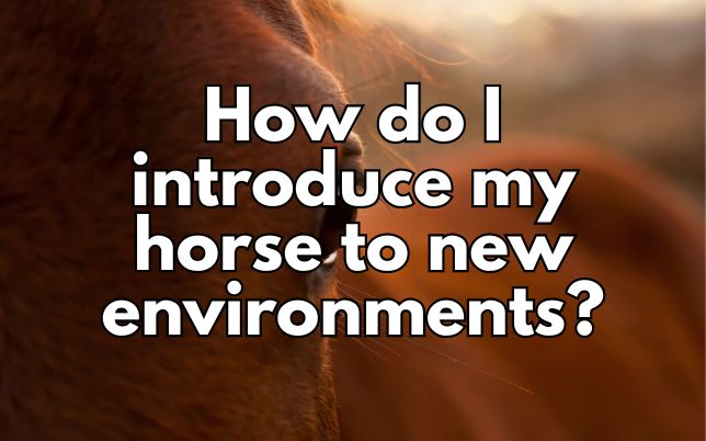 How do I introduce my horse to new environments?