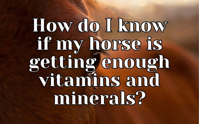 How do I know if my horse is getting enough vitamins and minerals