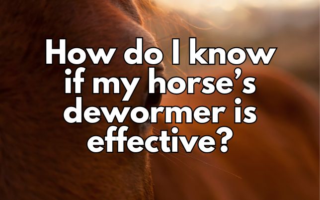 How do I know if my horse’s dewormer is effective?