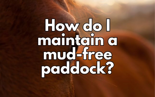 How do I maintain a mud-free paddock?