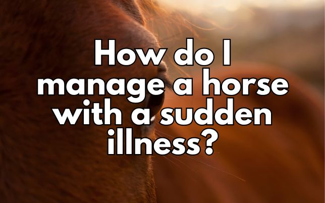 How do I manage a horse with a sudden illness?