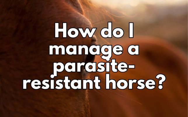 How do I manage a parasite-resistant horse?