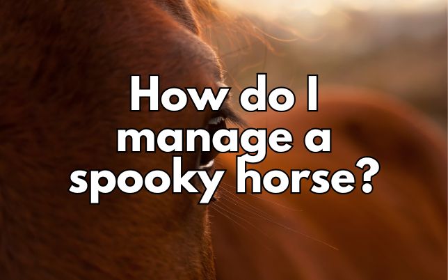 How do I manage a spooky horse?