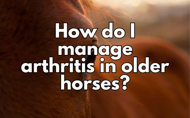 How do I manage arthritis in older horses?