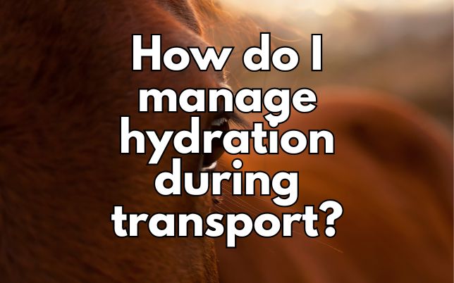 How do I manage hydration during transport?