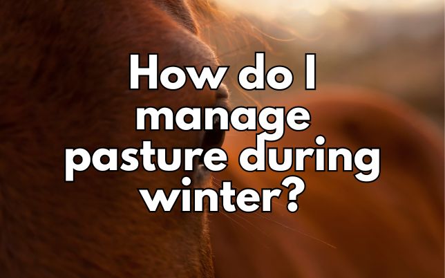 How do I manage pasture during winter?