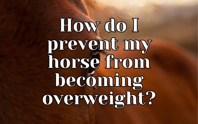 How do I prevent my horse from becoming overweight