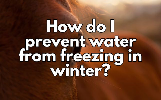 How do I prevent water from freezing in winter?