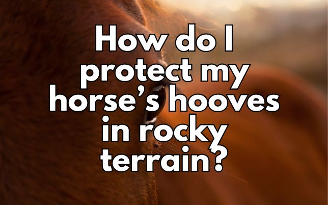 How do I protect my horse’s hooves in rocky terrain?