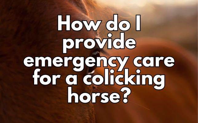 How do I provide emergency care for a colicking horse?