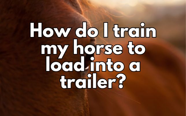 How do I train my horse to load into a trailer?