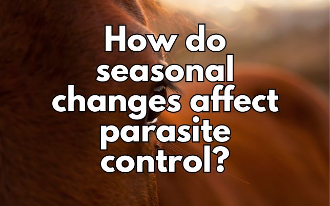 How do seasonal changes affect parasite control?