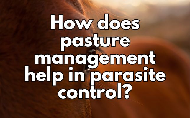 How does pasture management help in parasite control?