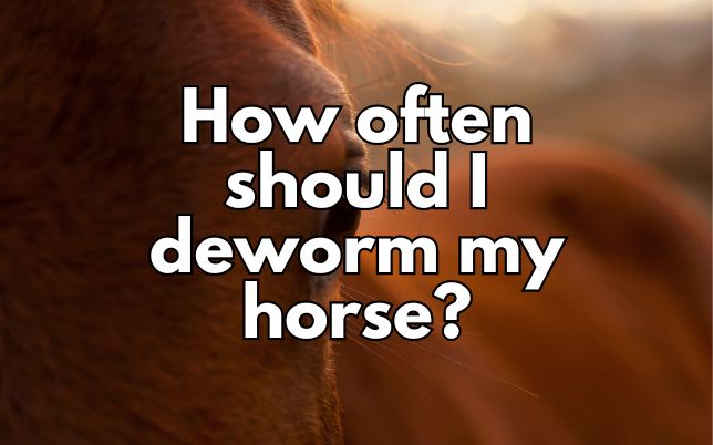 How often should I deworm my horse?