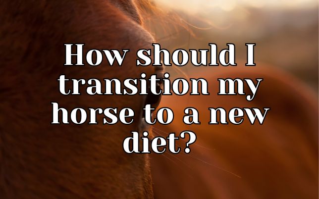 How should I transition my horse to a new diet