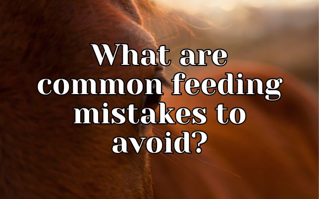 What are common feeding mistakes to avoid